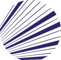 Vertebra